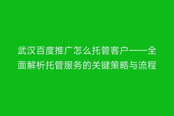 武汉百度推广怎么托管客户——全面解析托管服务的关键策略与流程