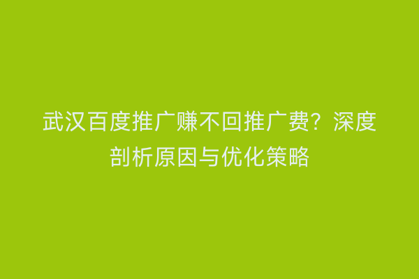 武汉百度推广赚不回推广费？深度剖析原因与优化策略