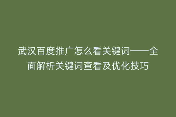 武汉百度推广怎么看关键词——全面解析关键词查看及优化技巧