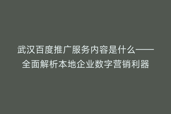 武汉百度推广服务内容是什么——全面解析本地企业数字营销利器