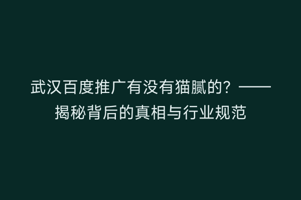 武汉百度推广有没有猫腻的？——揭秘背后的真相与行业规范