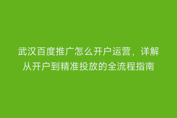 武汉百度推广怎么开户运营，详解从开户到精准投放的全流程指南