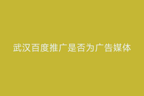 武汉百度推广是否为广告媒体