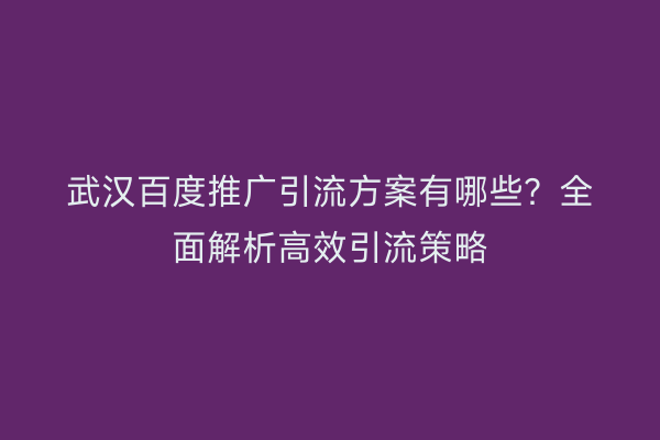 武汉百度推广引流方案有哪些？全面解析高效引流策略