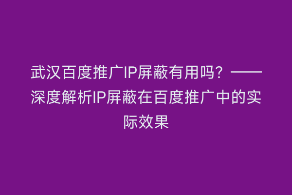 武汉百度推广IP屏蔽有用吗？——深度解析IP屏蔽在百度推广中的实际效果
