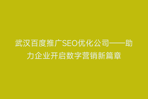 武汉百度推广SEO优化公司——助力企业开启数字营销新篇章