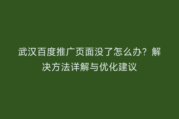 武汉百度推广页面没了怎么办？解决方法详解与优化建议