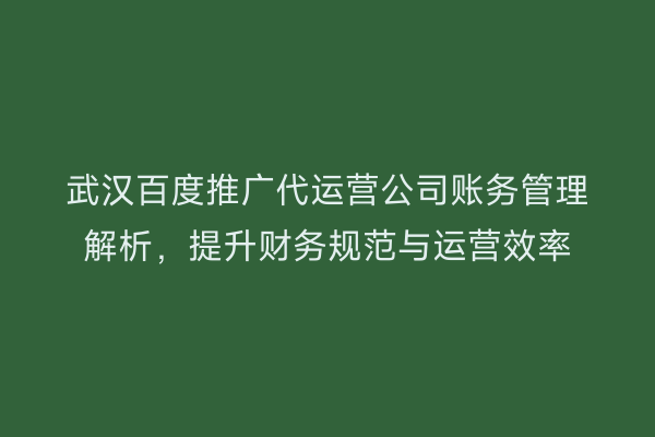 武汉百度推广代运营公司账务管理解析，提升财务规范与运营效率