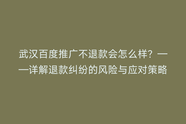 武汉百度推广不退款会怎么样？——详解退款纠纷的风险与应对策略