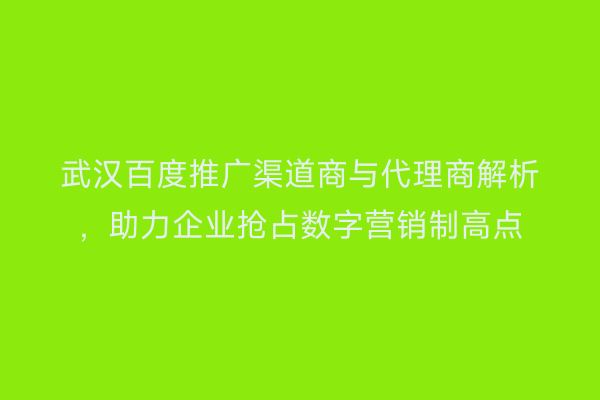武汉百度推广渠道商与代理商解析，助力企业抢占数字营销制高点