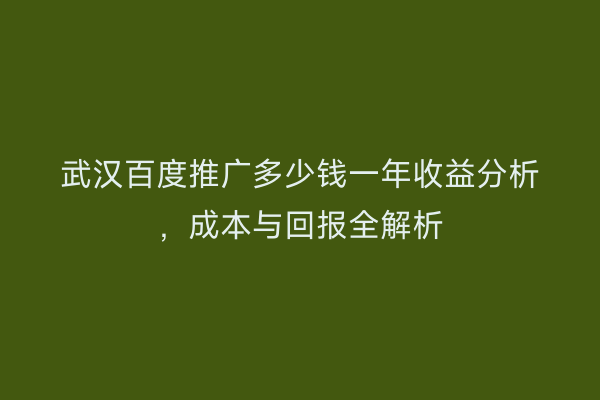 武汉百度推广多少钱一年收益分析，成本与回报全解析