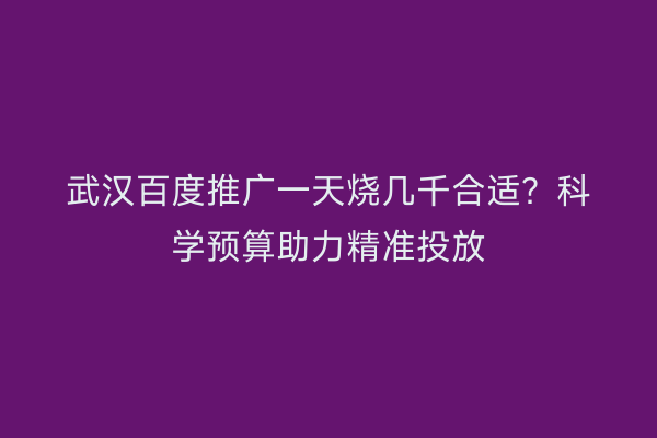 武汉百度推广一天烧几千合适？科学预算助力精准投放