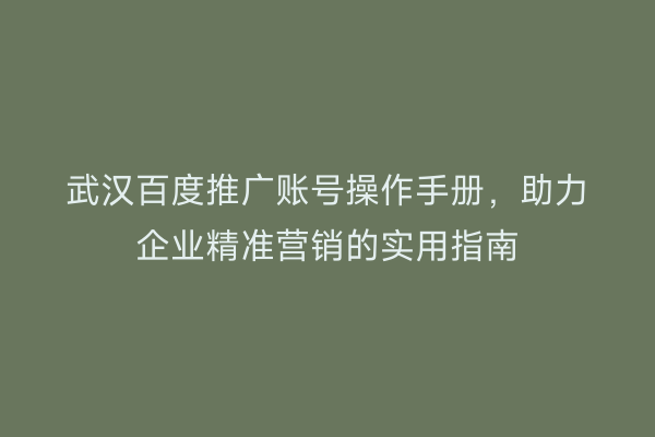 武汉百度推广账号操作手册，助力企业精准营销的实用指南