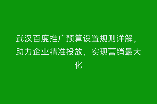 武汉百度推广预算设置规则详解，助力企业精准投放，实现营销最大化