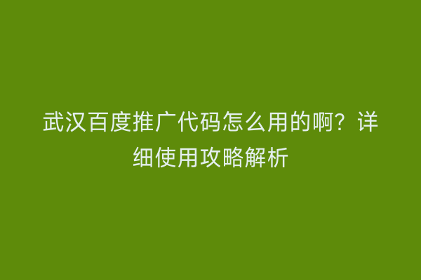 武汉百度推广代码怎么用的啊？详细使用攻略解析