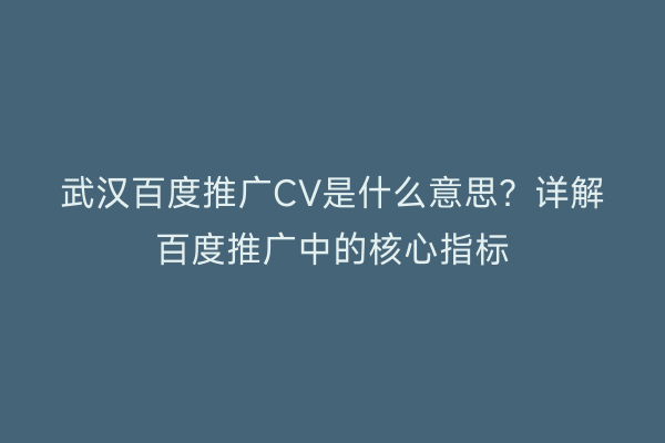 武汉百度推广CV是什么意思？详解百度推广中的核心指标