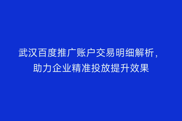 武汉百度推广账户交易明细解析，助力企业精准投放提升效果