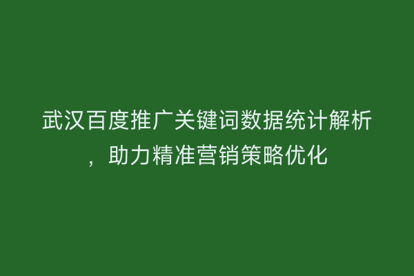 武汉百度推广关键词数据统计解析，助力精准营销策略优化
