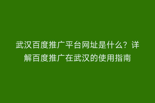 武汉百度推广平台网址是什么？详解百度推广在武汉的使用指南