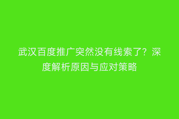 武汉百度推广突然没有线索了？深度解析原因与应对策略