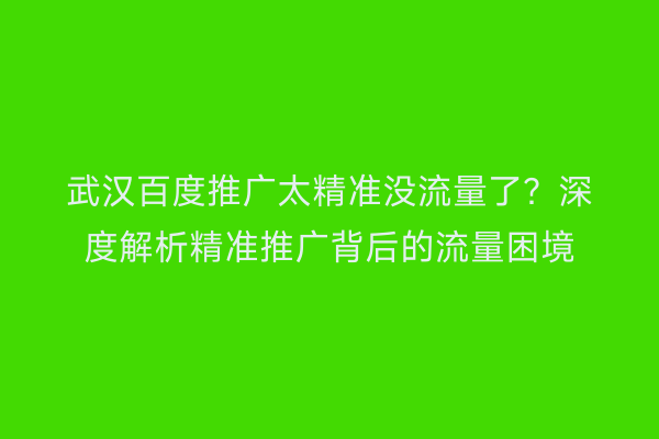 武汉百度推广太精准没流量了？深度解析精准推广背后的流量困境