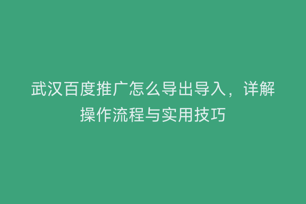 武汉百度推广怎么导出导入，详解操作流程与实用技巧