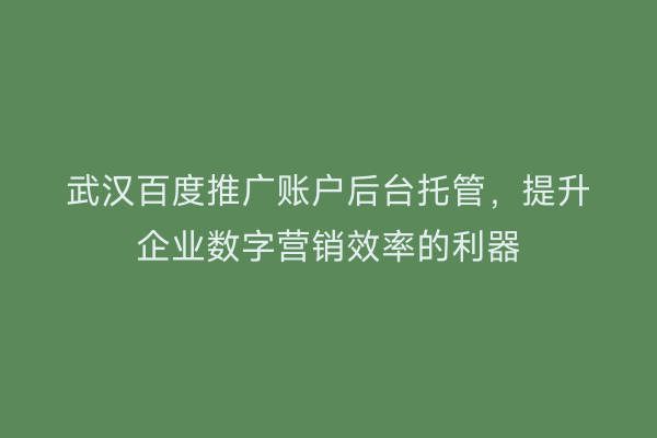 武汉百度推广账户后台托管，提升企业数字营销效率的利器