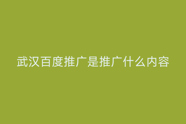 武汉百度推广是推广什么内容
