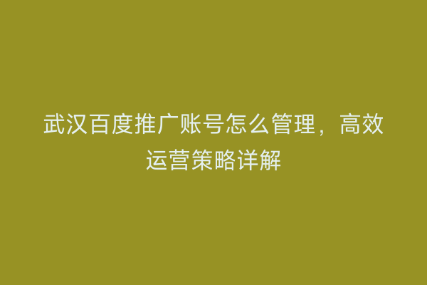 武汉百度推广账号怎么管理，高效运营策略详解