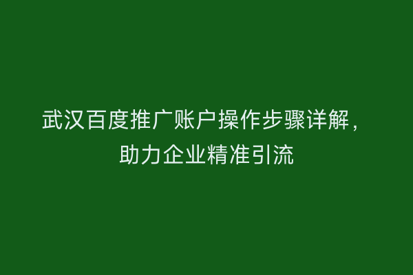 武汉百度推广账户操作步骤详解，助力企业精准引流