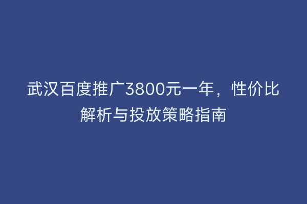 武汉百度推广3800元一年，性价比解析与投放策略指南