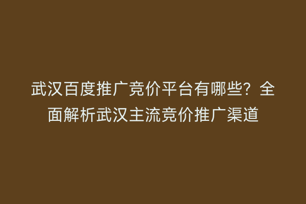 武汉百度推广竞价平台有哪些？全面解析武汉主流竞价推广渠道