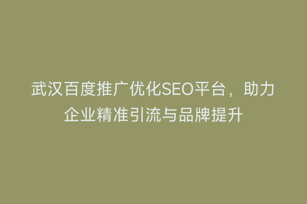 武汉百度推广优化SEO平台，助力企业精准引流与品牌提升