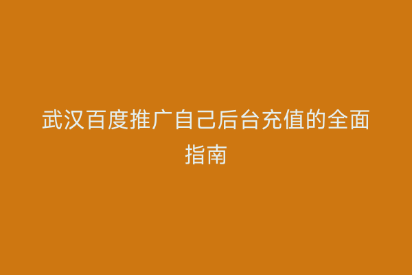 武汉百度推广自己后台充值的全面指南