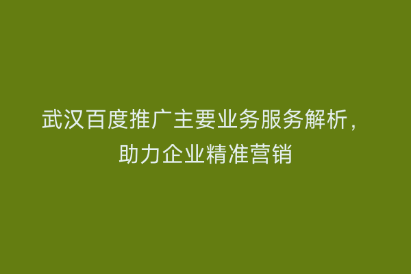 武汉百度推广主要业务服务解析，助力企业精准营销
