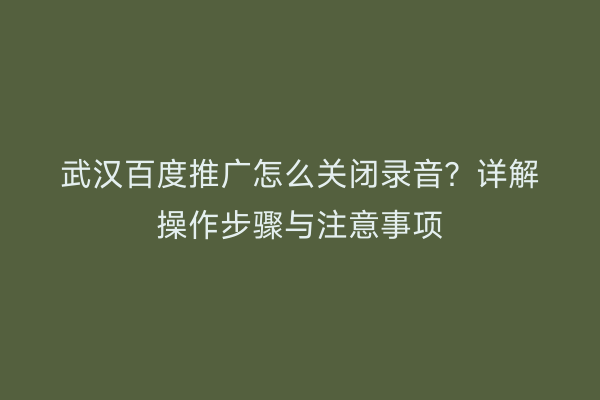 武汉百度推广怎么关闭录音？详解操作步骤与注意事项
