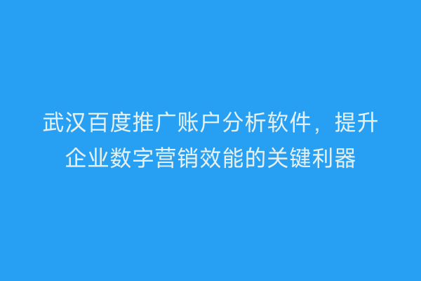 武汉百度推广账户分析软件，提升企业数字营销效能的关键利器