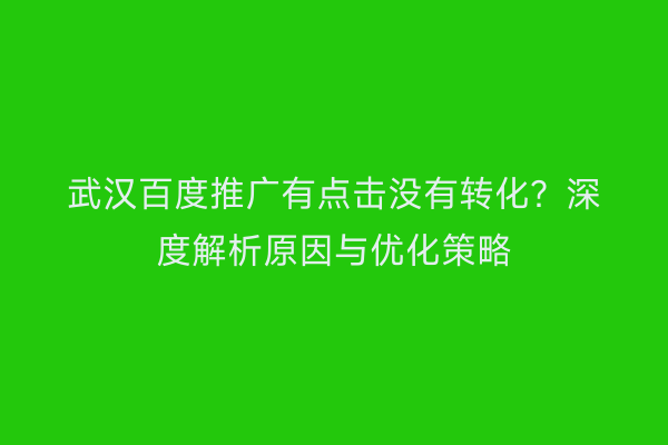 武汉百度推广有点击没有转化？深度解析原因与优化策略