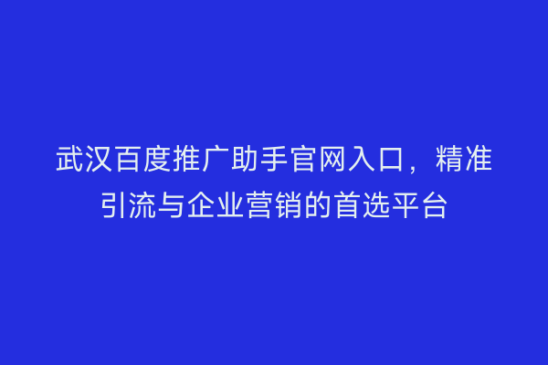 武汉百度推广助手官网入口，精准引流与企业营销的首选平台