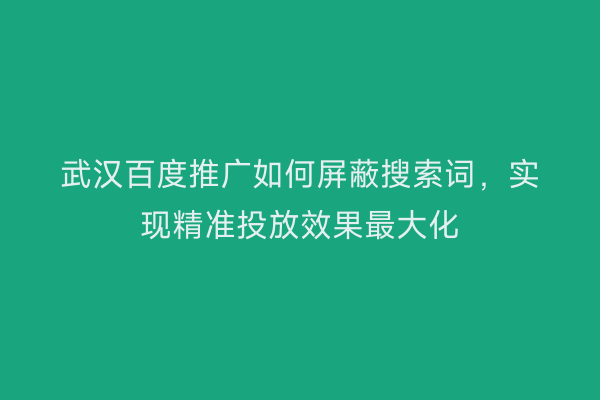武汉百度推广如何屏蔽搜索词，实现精准投放效果最大化