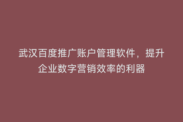 武汉百度推广账户管理软件，提升企业数字营销效率的利器