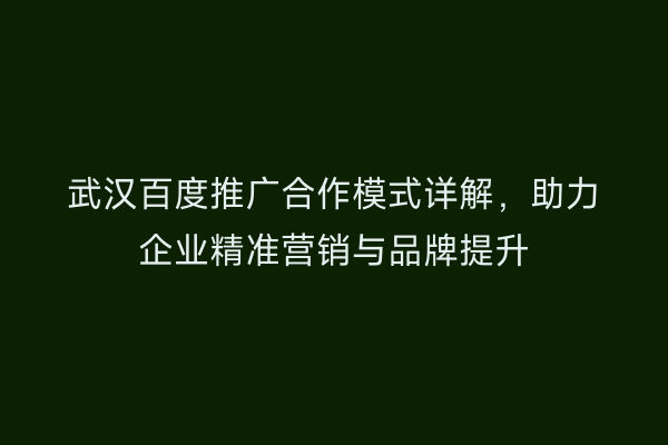 武汉百度推广合作模式详解，助力企业精准营销与品牌提升