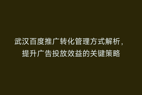 武汉百度推广转化管理方式解析，提升广告投放效益的关键策略