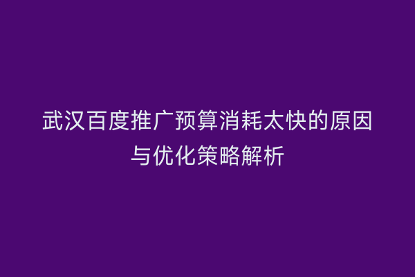 武汉百度推广预算消耗太快的原因与优化策略解析