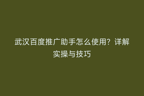 武汉百度推广助手怎么使用？详解实操与技巧