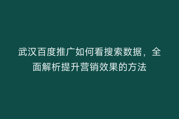 武汉百度推广如何看搜索数据，全面解析提升营销效果的方法