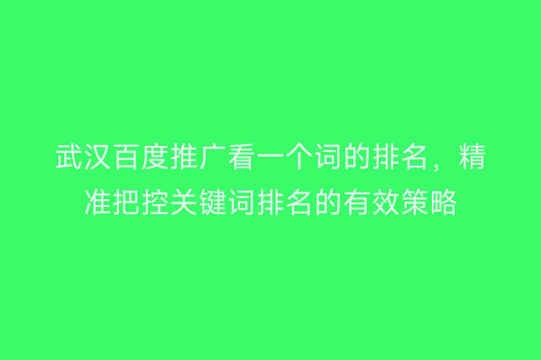 武汉百度推广看一个词的排名，精准把控关键词排名的有效策略