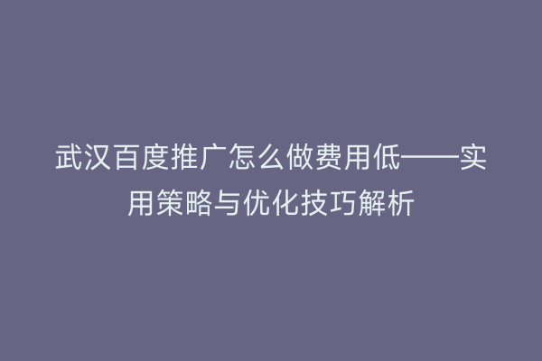 武汉百度推广怎么做费用低——实用策略与优化技巧解析