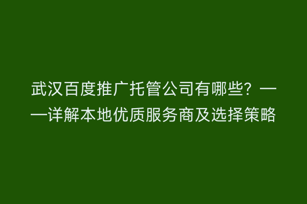武汉百度推广托管公司有哪些？——详解本地优质服务商及选择策略