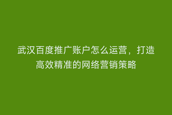武汉百度推广账户怎么运营，打造高效精准的网络营销策略